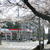 3月下旬にはＳＳ近隣も春景色に（武蔵野市の杉商・桜堤ＳＳ）